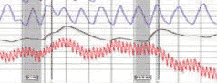 Immigration polygraph Sacramento